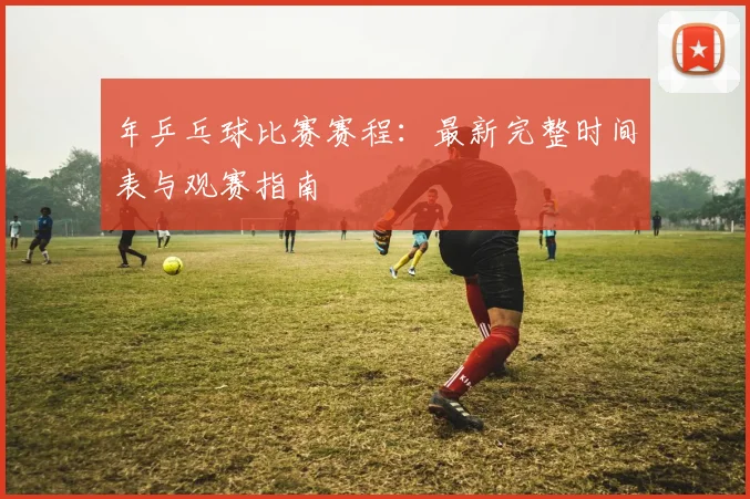 年乒乓球比赛赛程：最新完整时间表与观赛指南